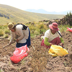 Manejo de nuestros recursos naturales
